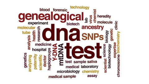 DNA test animated word cloud. Kinetic ty... | Stock Video | Pond5