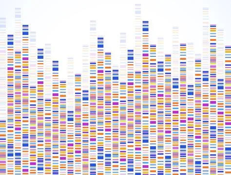 Dna test infographic. Dna test, barcoding, genome map. Graphic concept for yo Stock Illustration
