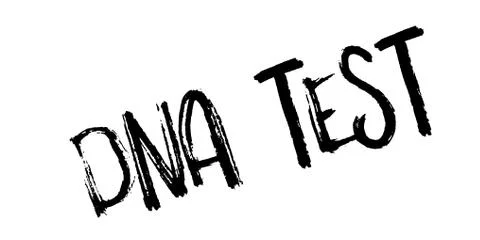 Dna Test rubber stamp 스톡 일러스트