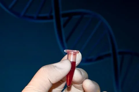 DNA testing of the blood. Stock Photos