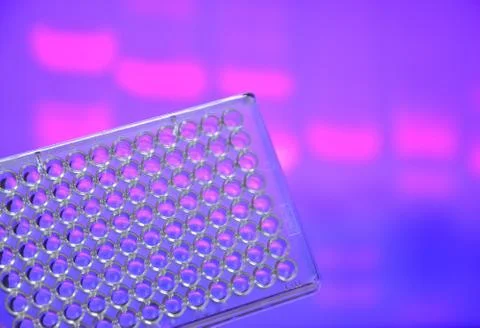 DNA testing in genetic laboratories. Stock Photos