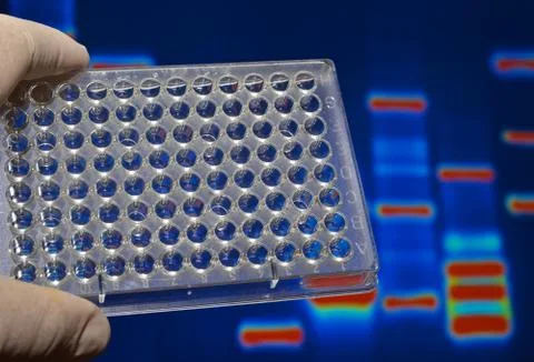 DNA testing in genetic laboratories. Stock Photos