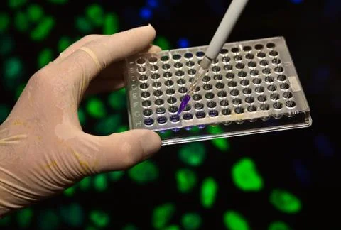 DNA testing in genetic laboratories. Stock Photos