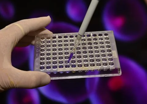 DNA testing in the laboratory. Stock Photos