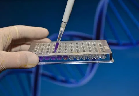 DNA testing in the laboratory. Stock Photos