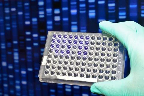 DNA testing in the laboratory. Stock Photos