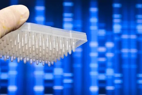 DNA testing in the laboratory. Stock Photos