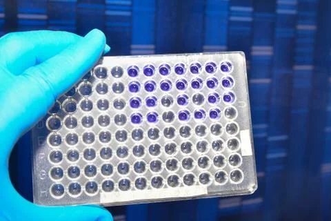 DNA testing in the laboratory. Stock Photos