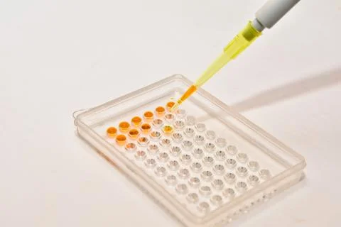 DNA testing in the laboratory. Stock Photos