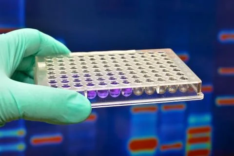 DNA testing in the laboratory. Stock Photos