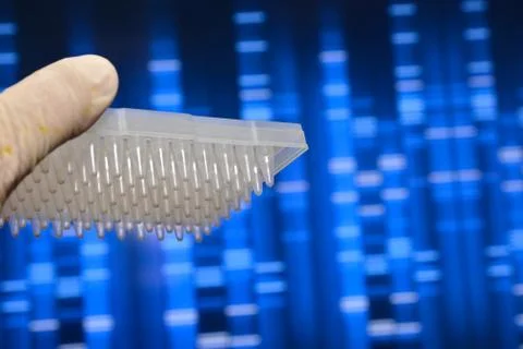 DNA testing in the laboratory. Stock Photos