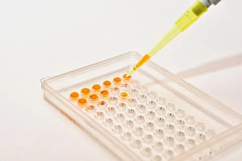 DNA testing in the laboratory. Stock Photos