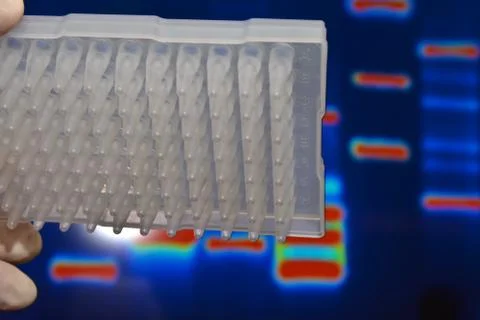 DNA testing in the laboratory. Stock Photos