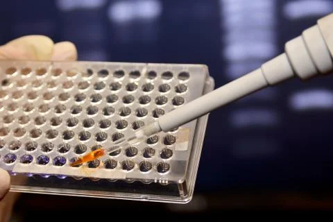 DNA testing in the laboratory. Stock-Fotos