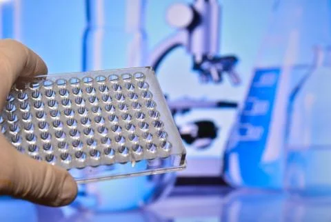 The DNA testing. Stock Photos