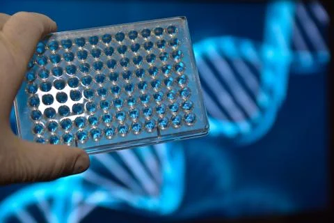 The DNA testing. Stock Photos
