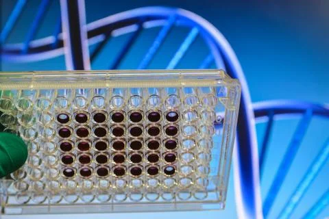 DNA testing. Stock Photos