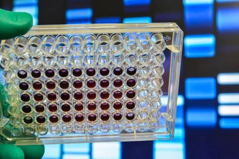 DNA testing. Stock Photos