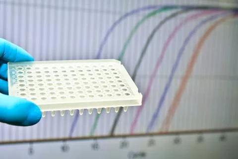 DNA testing by the Real Time PCR method. Stock Photos