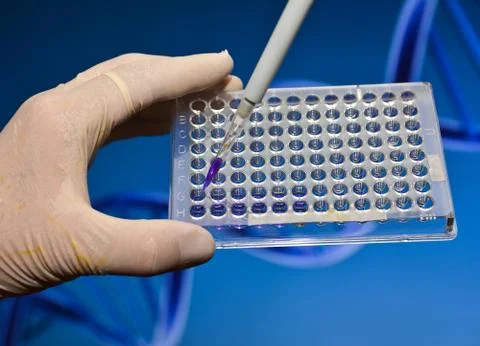 DNA testing in a scientific laboratory. Stock Photos