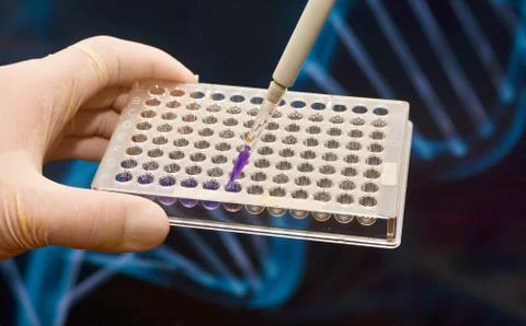 DNA testing in a scientific laboratory. Stock Photos