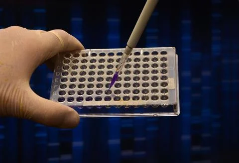 DNA testing in a scientific laboratory. Stock Photos