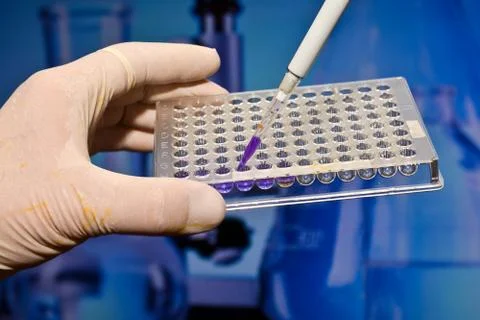 DNA testing in a scientific laboratory. Stock Photos