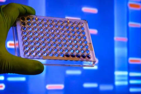 DNA testing in a scientific laboratory. Stock-Fotos