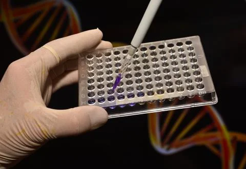 DNA testing in a scientific laboratory. Stock Photos