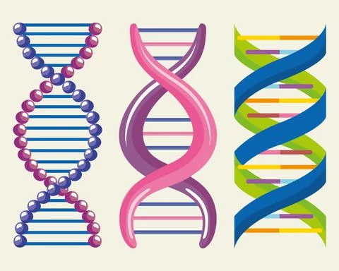 Dna three molecules Stock Illustration