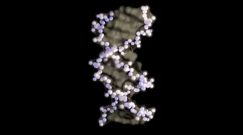 DNA - transparent surface with carbon backbone Stock Footage 26721527