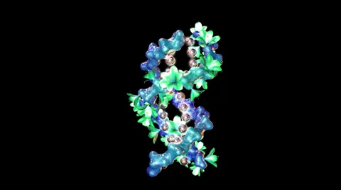 DNA - Tree of Life Stock Footage 28371281