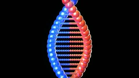 Dna twisting and moving up with start and end. made with computer graphics. i Stock Footage 12012317