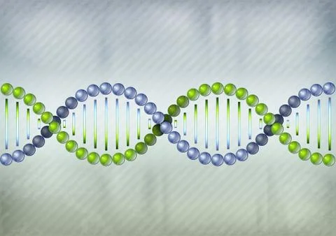 Dna two color Stock Illustration
