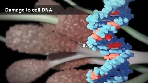 DNA is under constant attack from reactive chemicals and natural radiation Stock Illustration