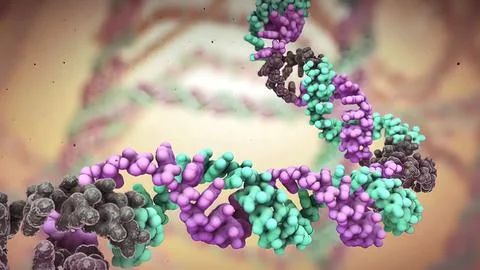 DNA is under constant attack from reactive chemicals and natural radiation Stock Illustration