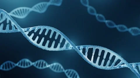 DNA unwinding, replication Stock Footage 161415947