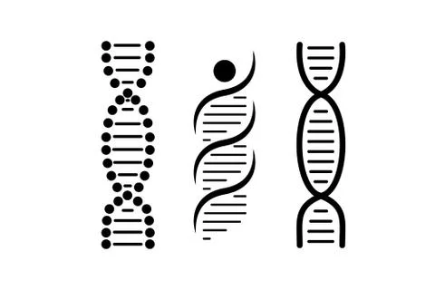 Dna vector Black lines white background Stock Illustration