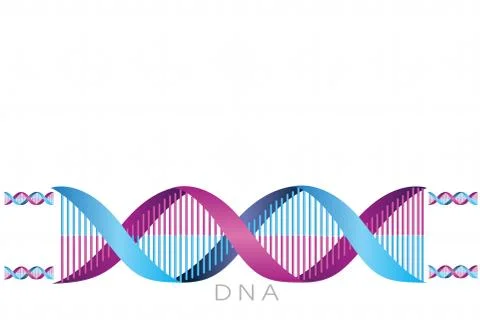 Dna vector blue line Blue background Stock Illustration