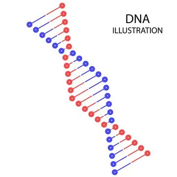 Dna vector illustration 스톡 일러스트
