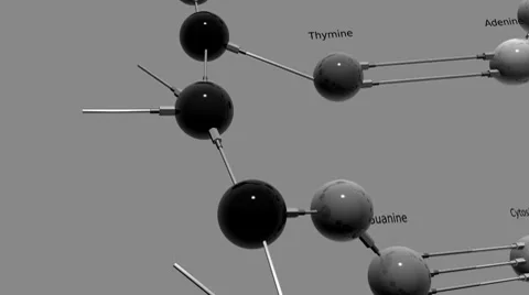 DNA Viz (HD) Stock Footage 7340708