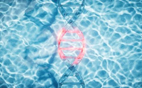 DNA with water surface background, 3d rendering. Stock Illustration