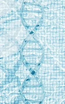 DNA with water surface background, 3d rendering. Stock Illustration