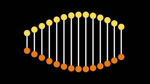 DNA Wave Structure Stock Footage 335624572