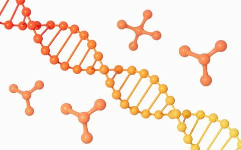 DNA with white background, 3d rendering. Stock Illustration