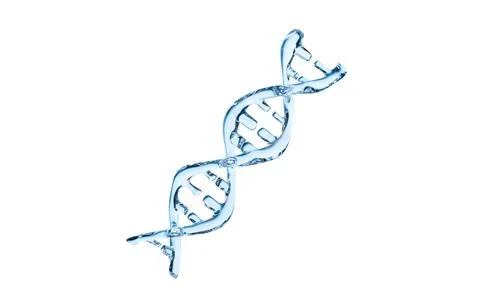 DNA in the white background, 3d rendering. Stock Illustration