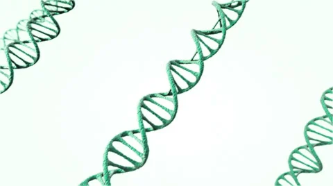 DNA Zoom 스톡 동영상 24977576