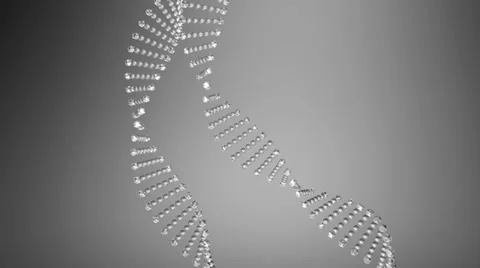 DNA2 스톡 동영상 33138666