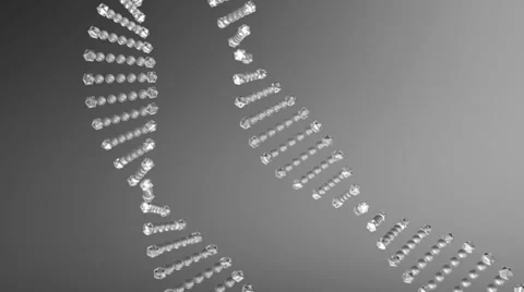 Dna3 Stock Footage 33136460