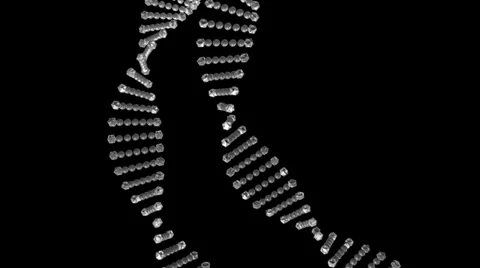 Dna4 스톡 동영상 33135353